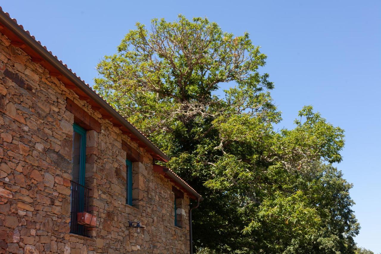 Casa Terra Alma ξενώνας Laza Εξωτερικό φωτογραφία